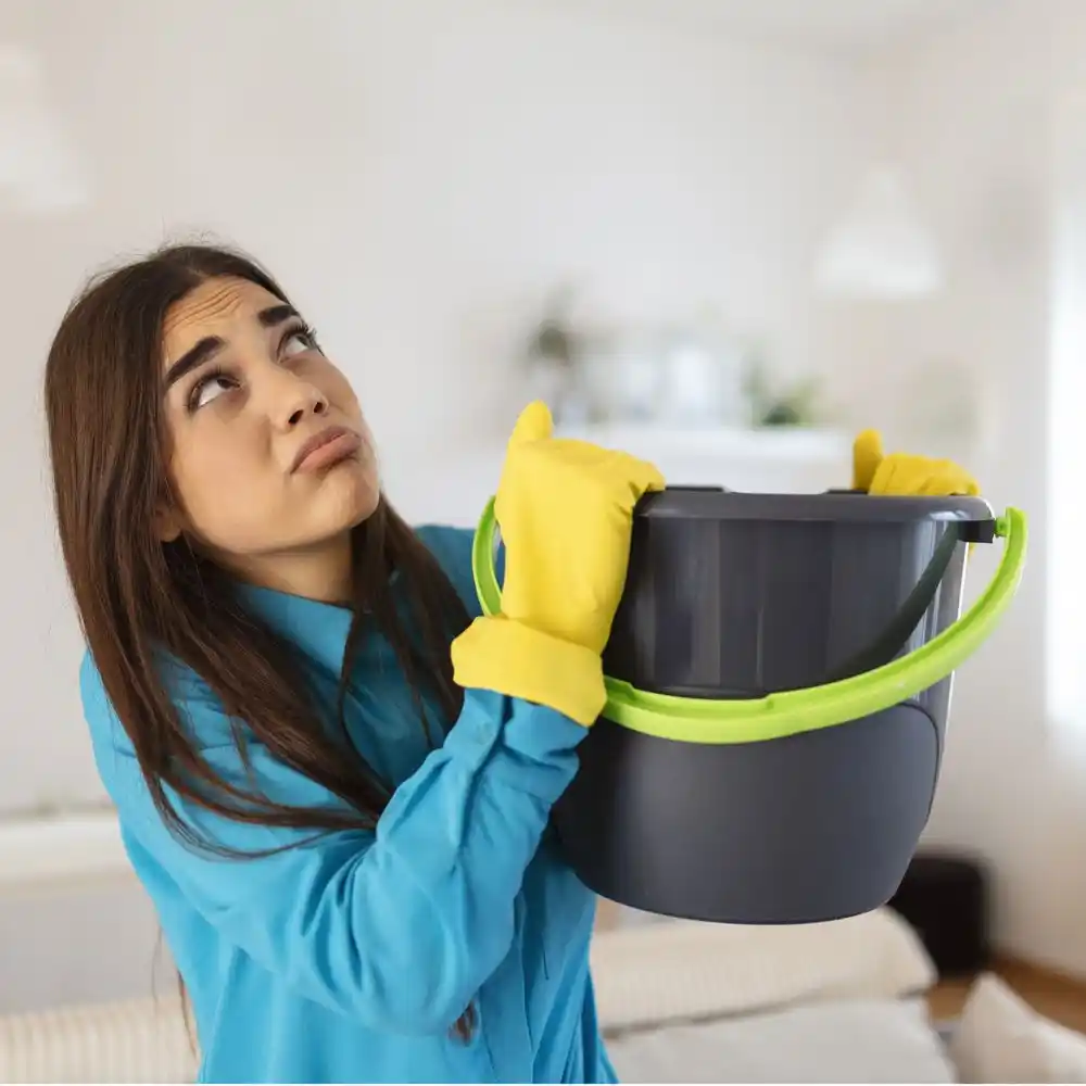 water damage restoration service Paradis